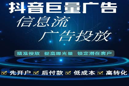 谷歌竞价广告与SEO结合的营销案例解析